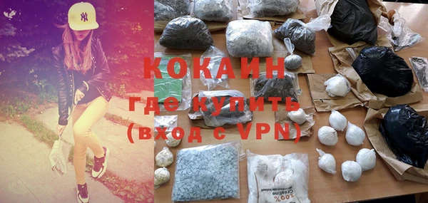 мдпв Каменногорск