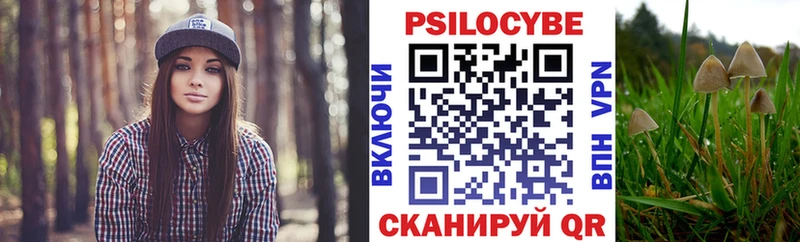 Псилоцибиновые грибы Cubensis Южноуральск