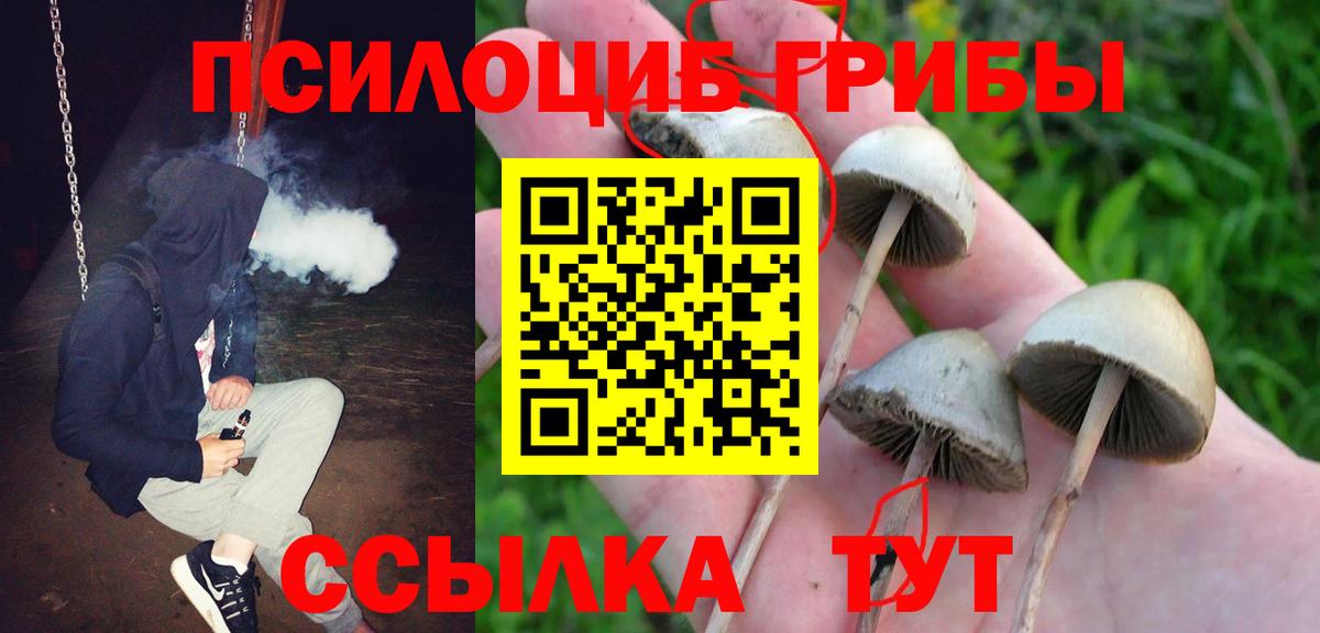 Псилоцибиновые грибы мухоморы  Вход с VPN  Южноуральск 