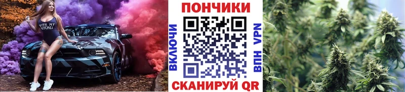 Бошки марихуана индика  Южноуральск 